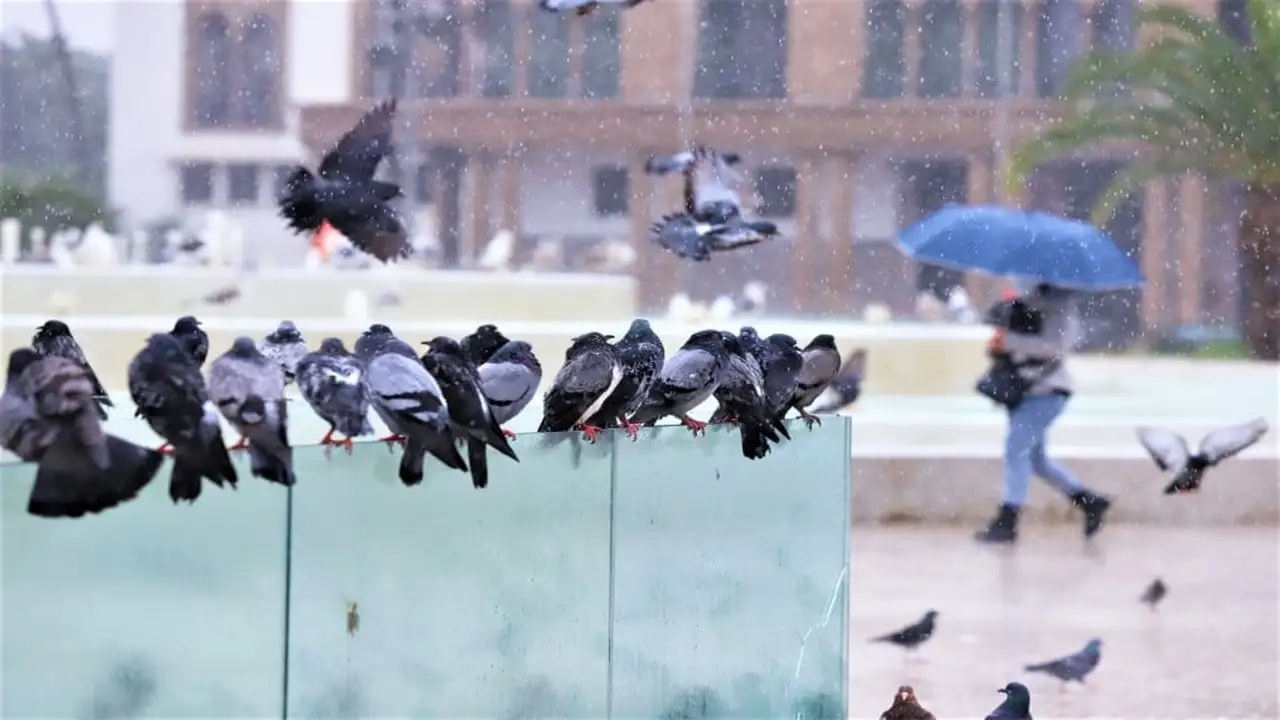 تحذير لسبعة أيام.. موجة أمطار ورياح قوية تضرب عدة مدن مغربية خلال الأسبوع